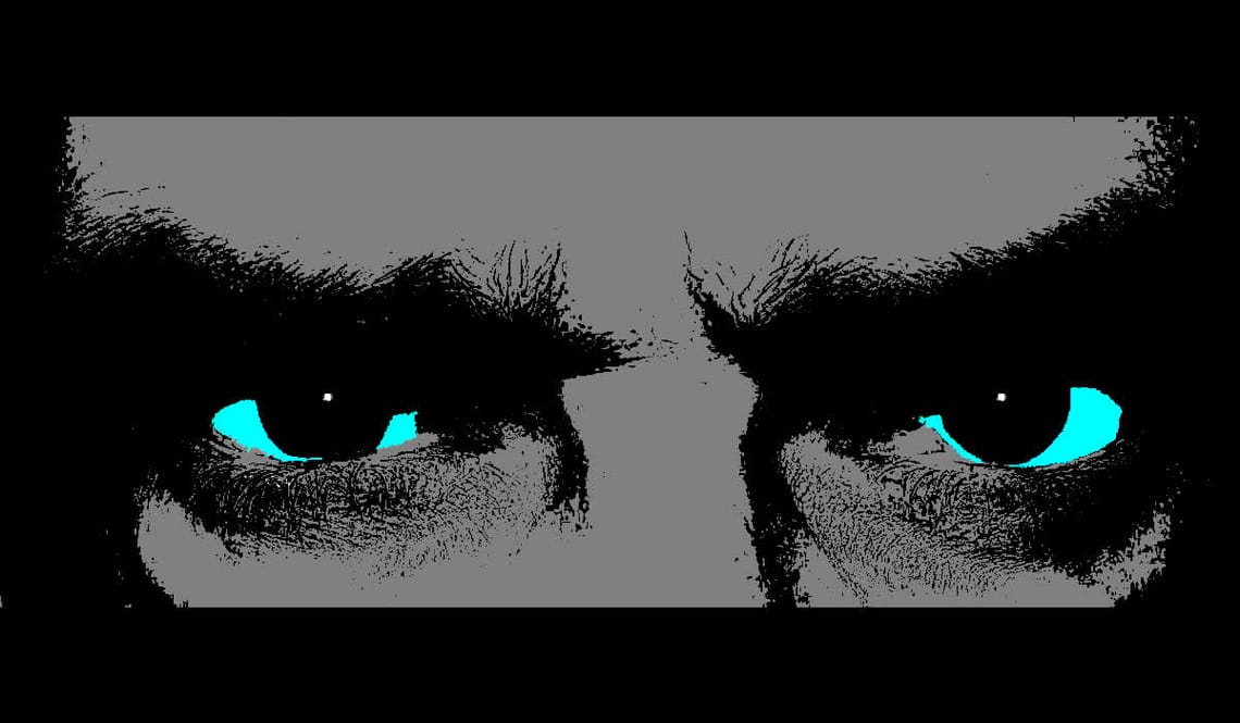 Eyes